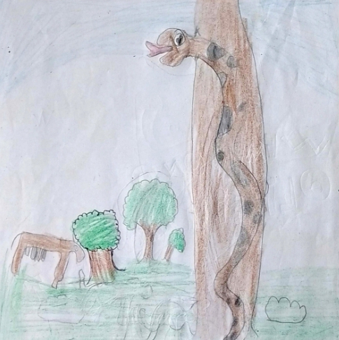 Desenho 6