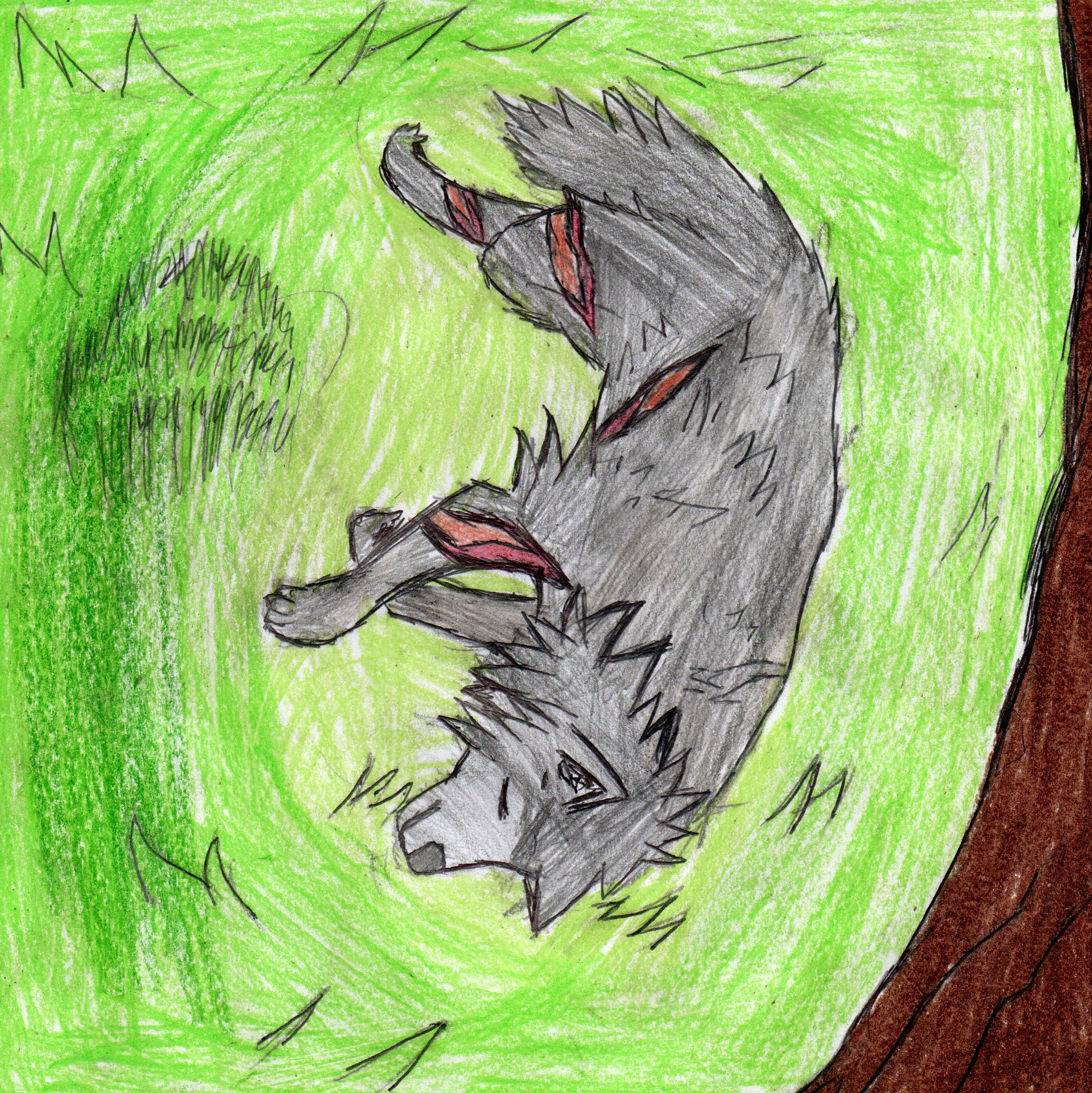 Desenho 5